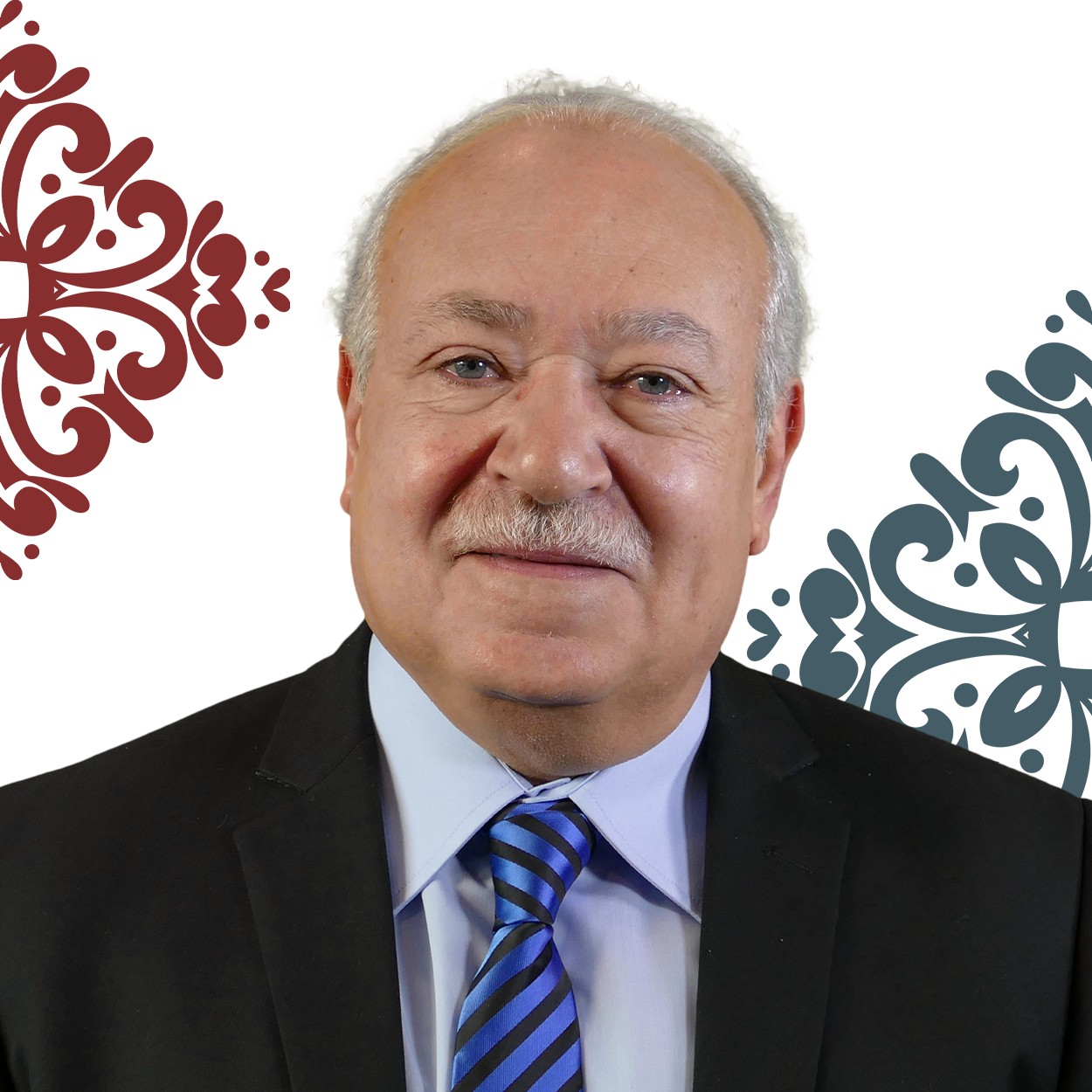 Professor Magd Zakaria